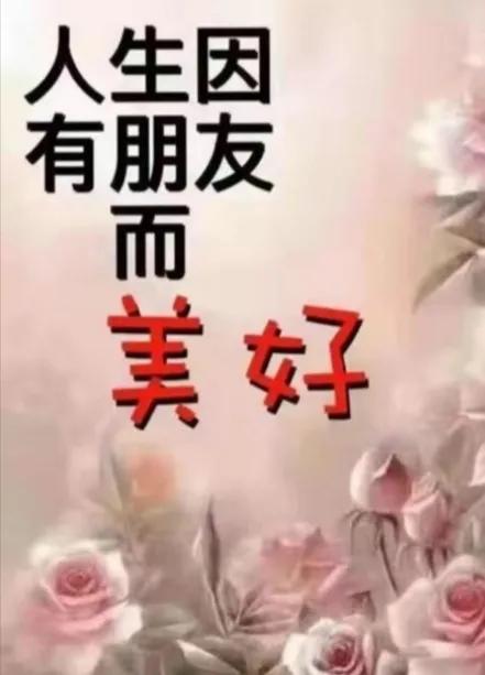 朋友认识你真好经典语录,朋友认识你真好诗歌朗诵