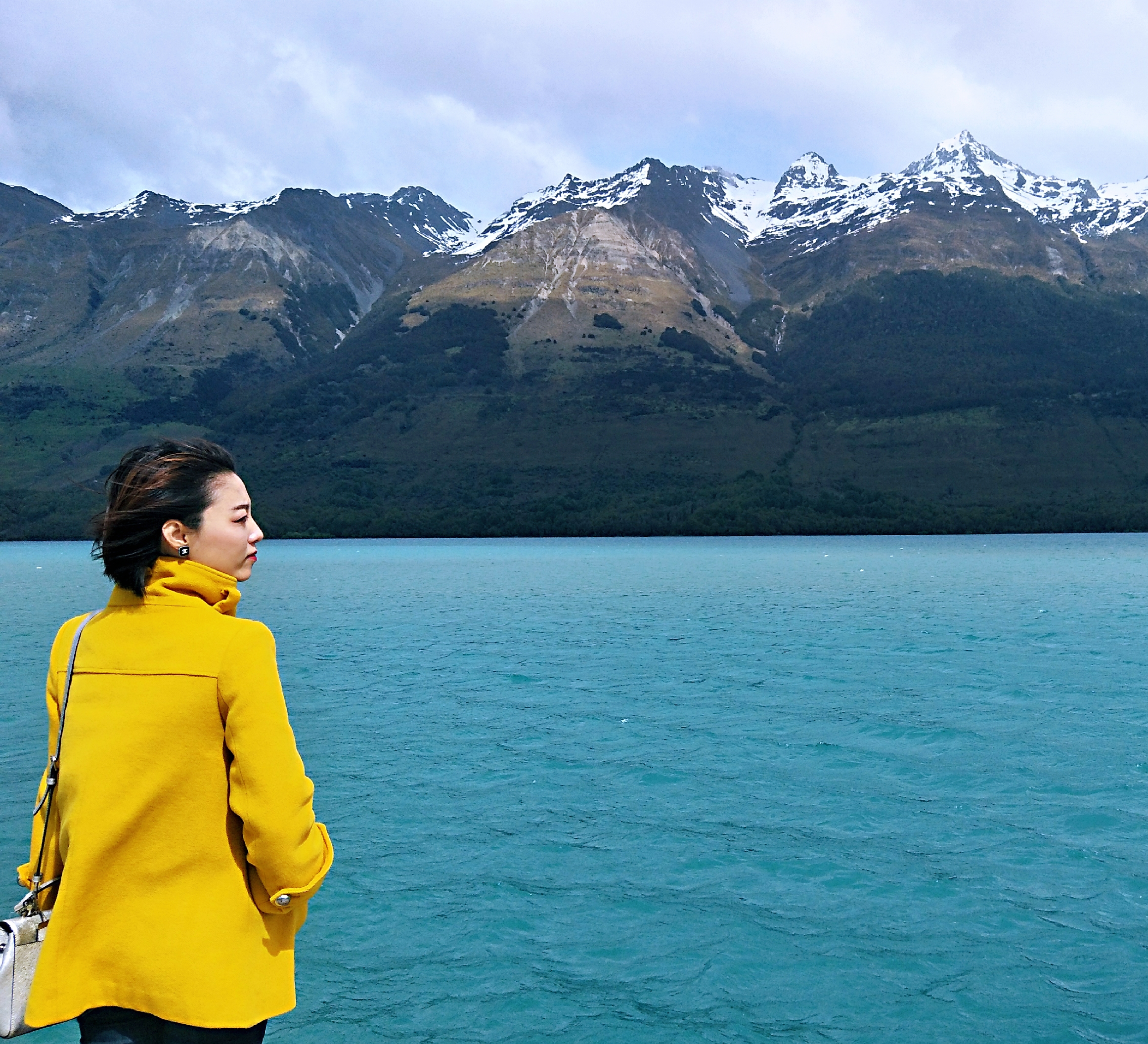 魔戒取景地新西兰森林,新西兰指环王取景地攻略