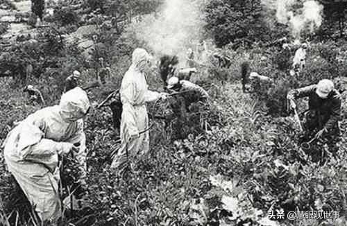 用什么方法消灭鼠疫,1949年察北鼠疫