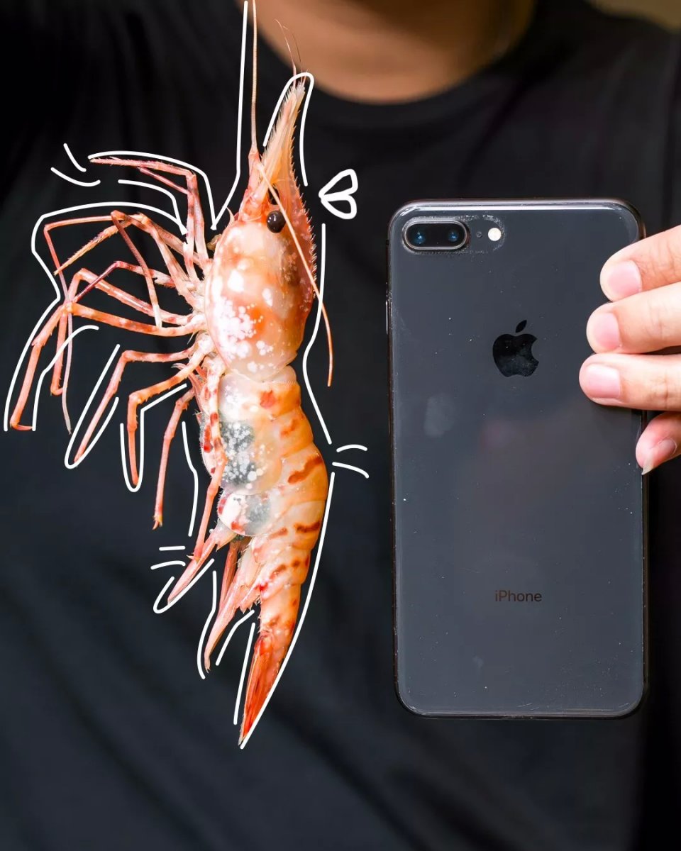 航母海鲜自助,陆家嘴自助帝王蟹