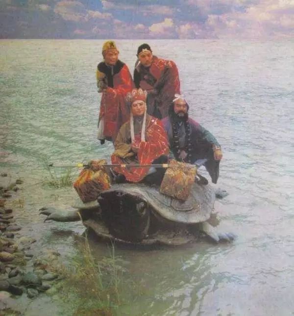 中国最后一只斑鳖,中国最后一只雌性斑鳖