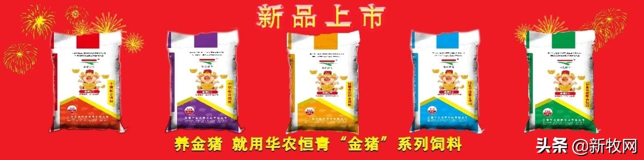 中原农保助力生猪行业稳产保供,助力春耕高质量增产量