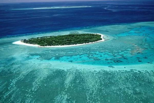 海南最新免税政策和规划,海南免税城政策新规