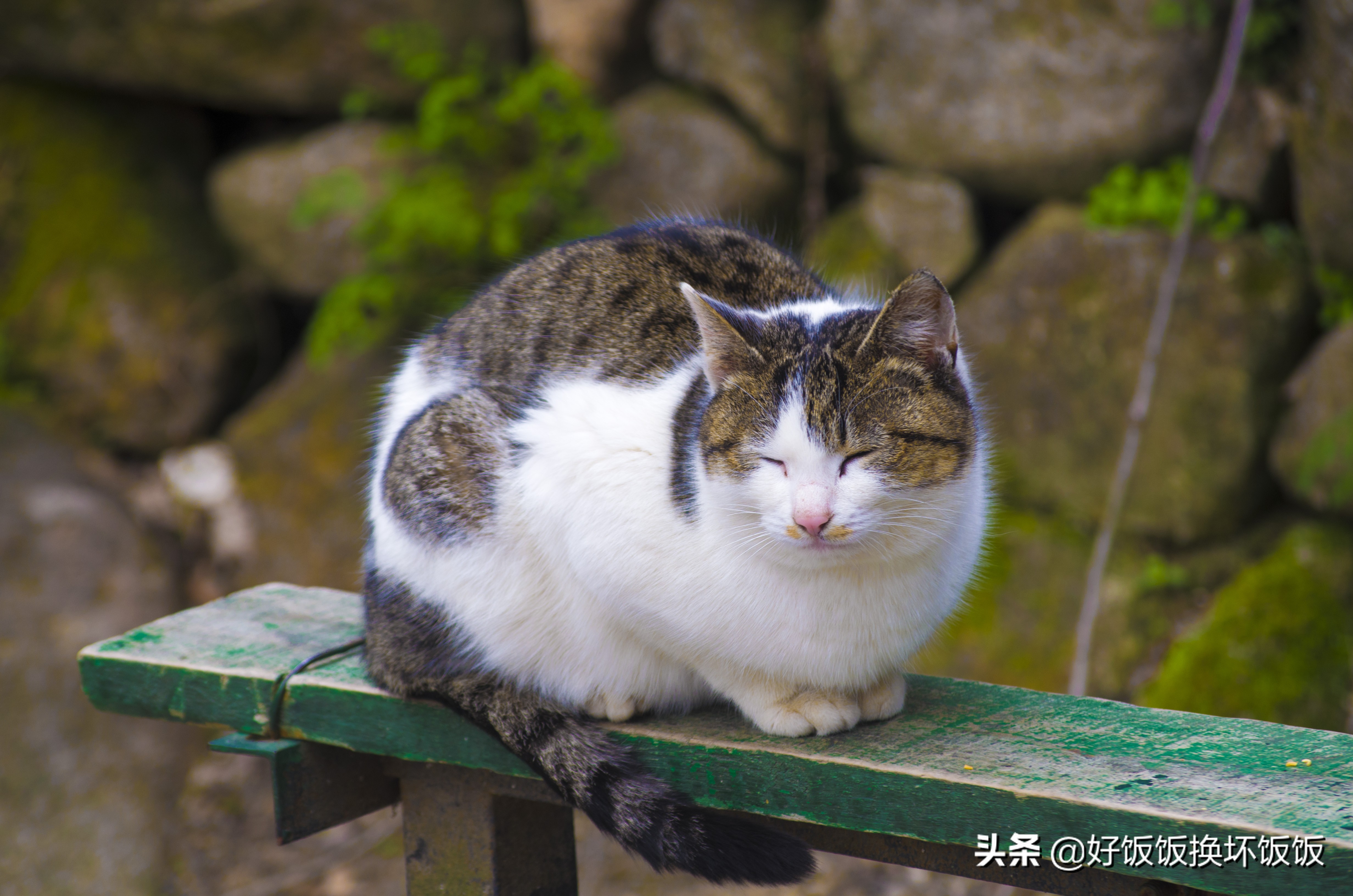 华山站到华山北峰怎么走,华山西峰到华山北峰山路怎样