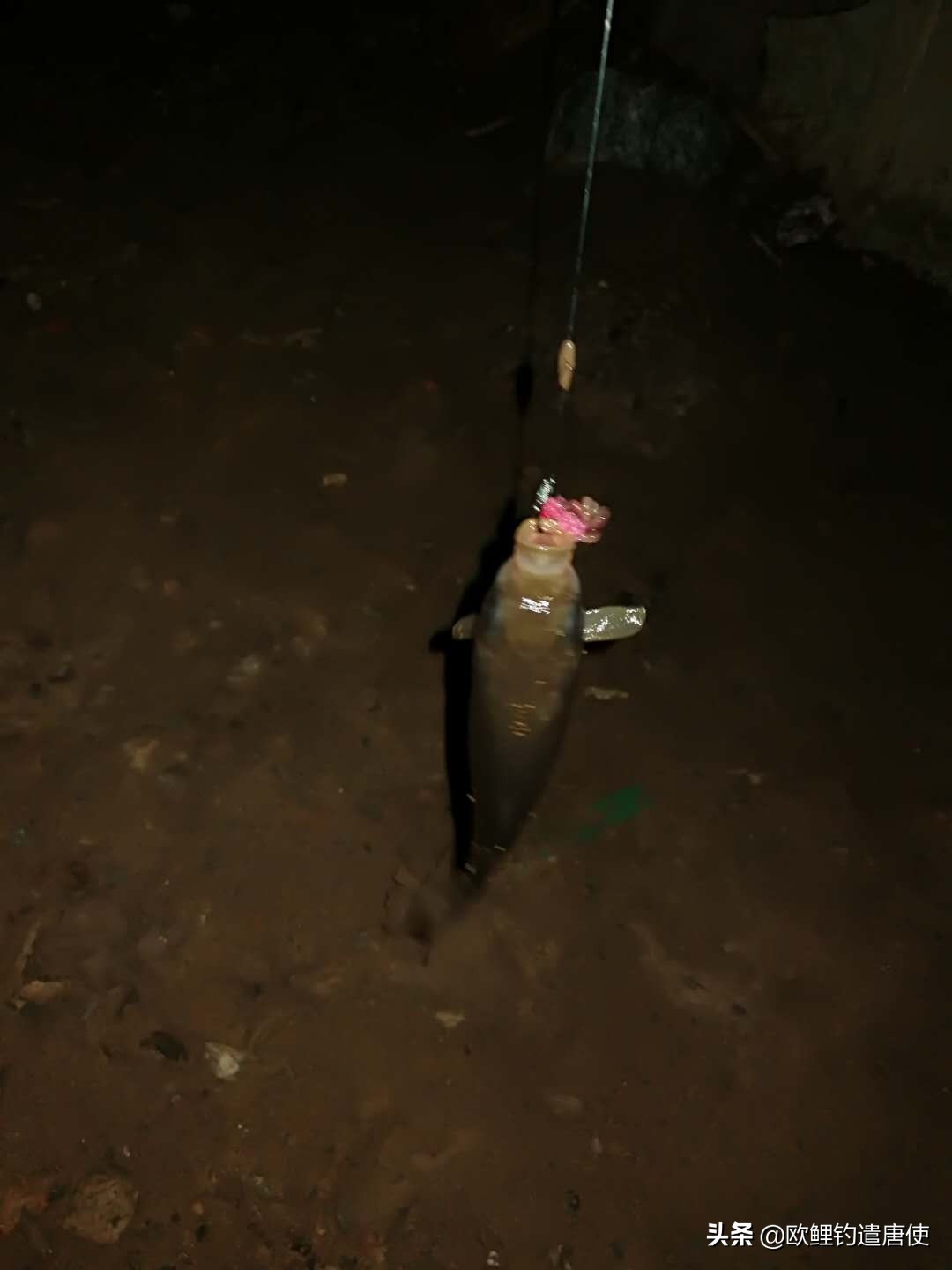 欧鲤钓各种钓组优势,话说欧鲤钓之铅坠篇