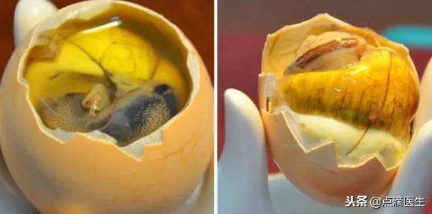 毛鸡蛋时间长了能不能吃,过夜的毛鸡蛋能吃吗