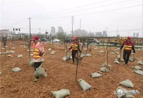 香樟里·那水岸，即将迎来沿江美景！还有篮球场+足球场+门球场!