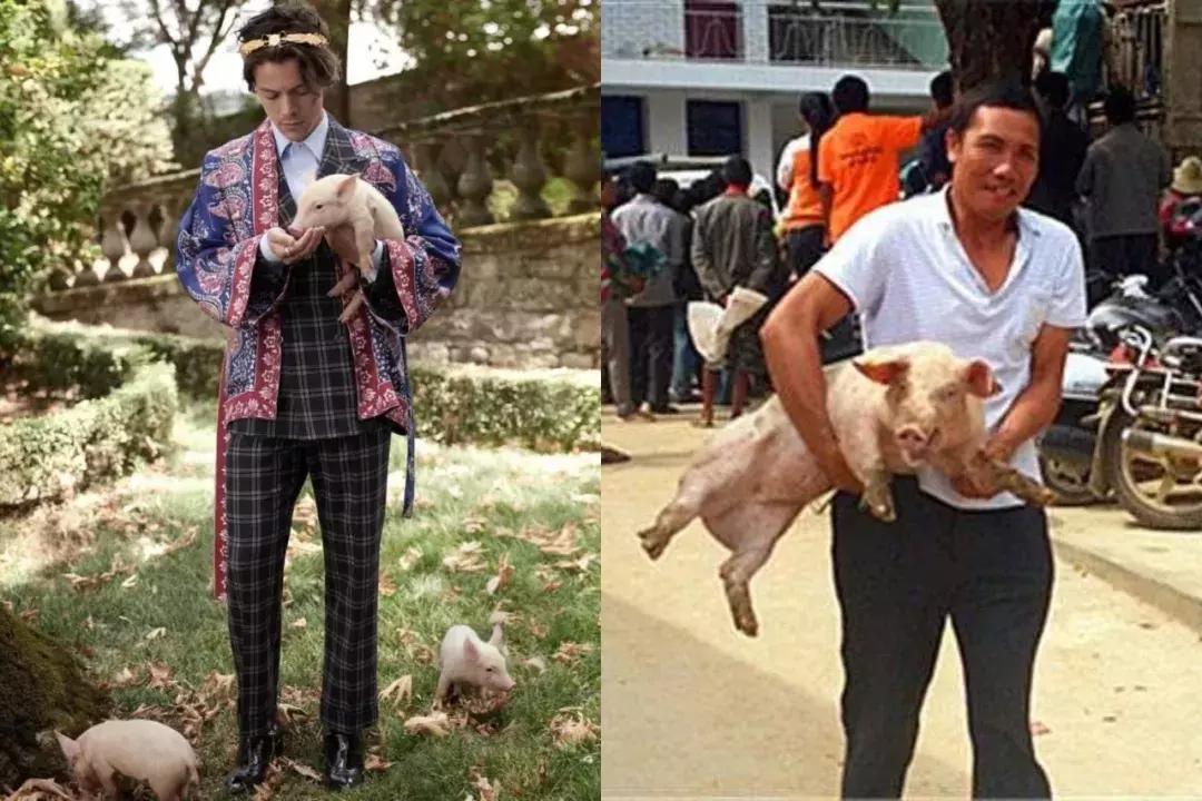 欧阳娜娜戚薇综艺发型,欧阳娜娜清纯可爱