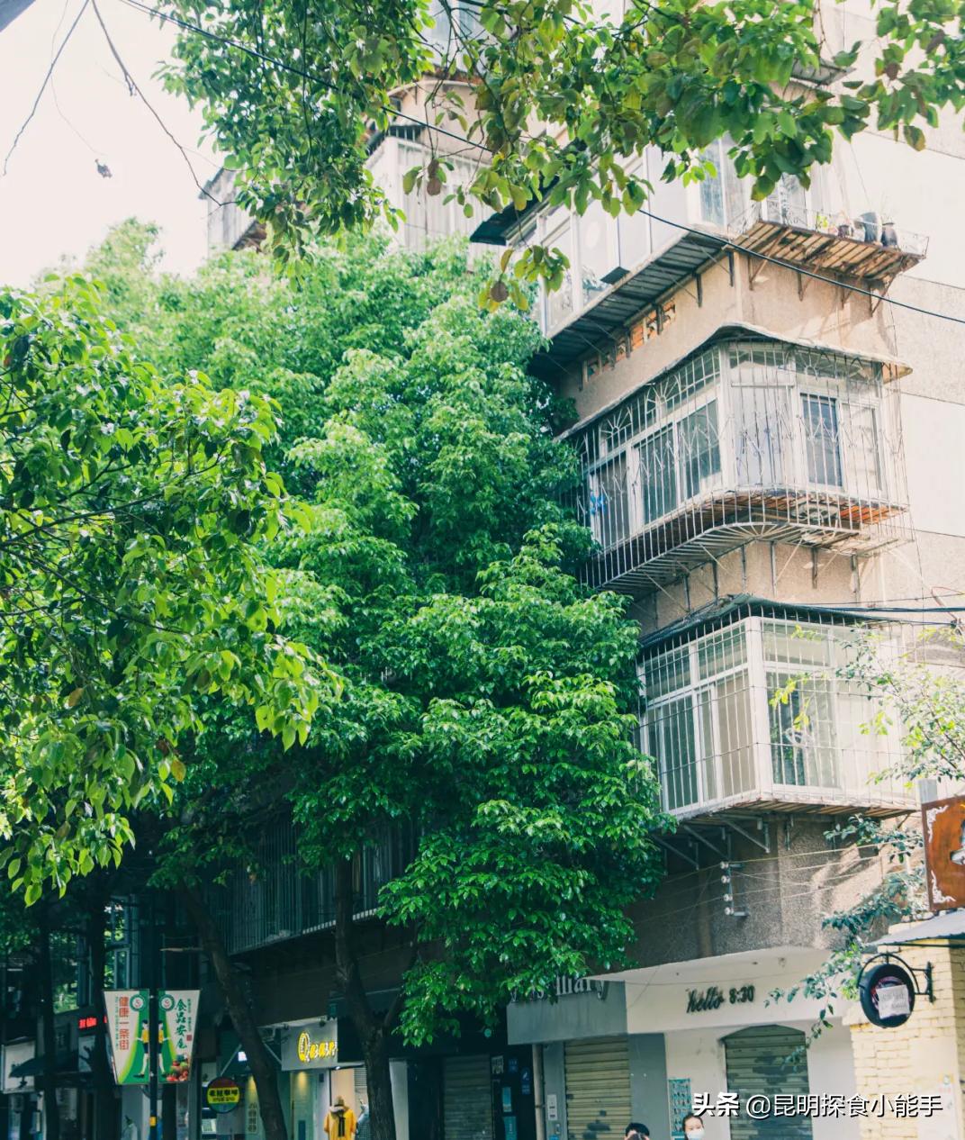 昆明文化巷,昆明文化巷攻略