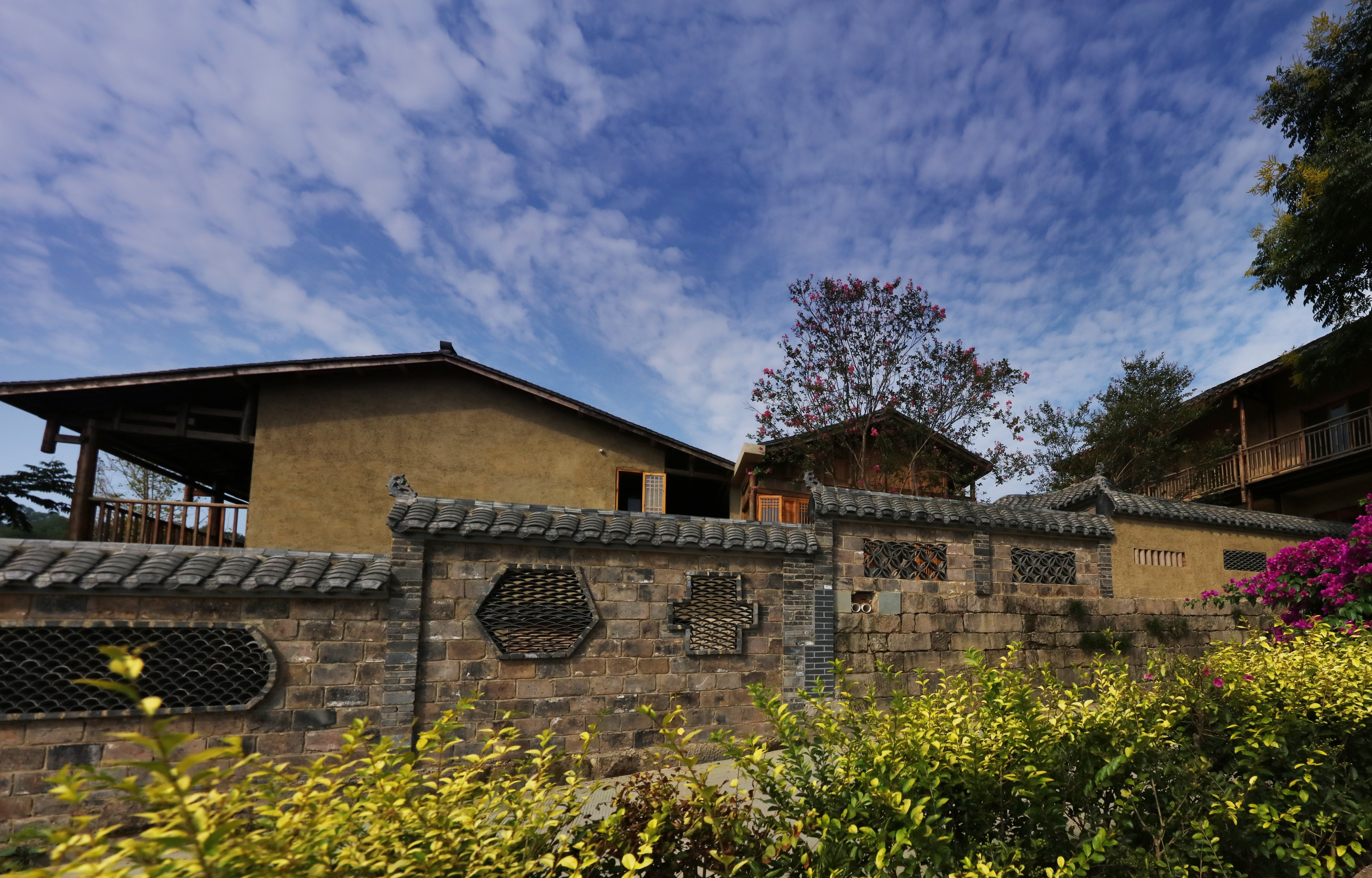 重庆理工大学助力,重庆市大学乡村振兴