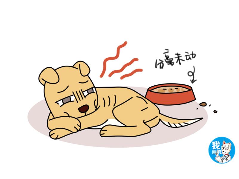 喂多少盐会导致狗狗中毒,狗摄入盐分过多抽搐怎么办