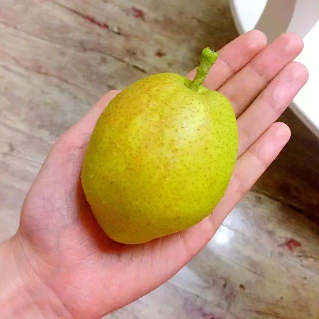 中医忌口大全,中医忌口大全一览表