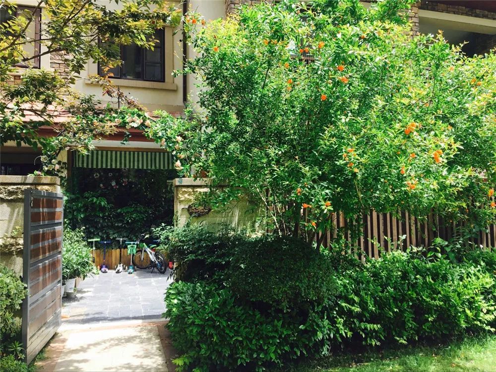 武汉最难进的十所大学,武汉最难进的五个初中