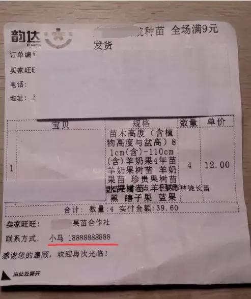 宿迁神苗淘宝,宿迁神苗真假对比