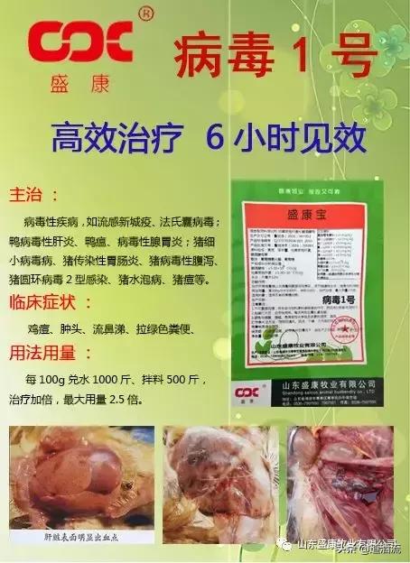 鸭呼吸困难怎么解决,鸭子存放的方法