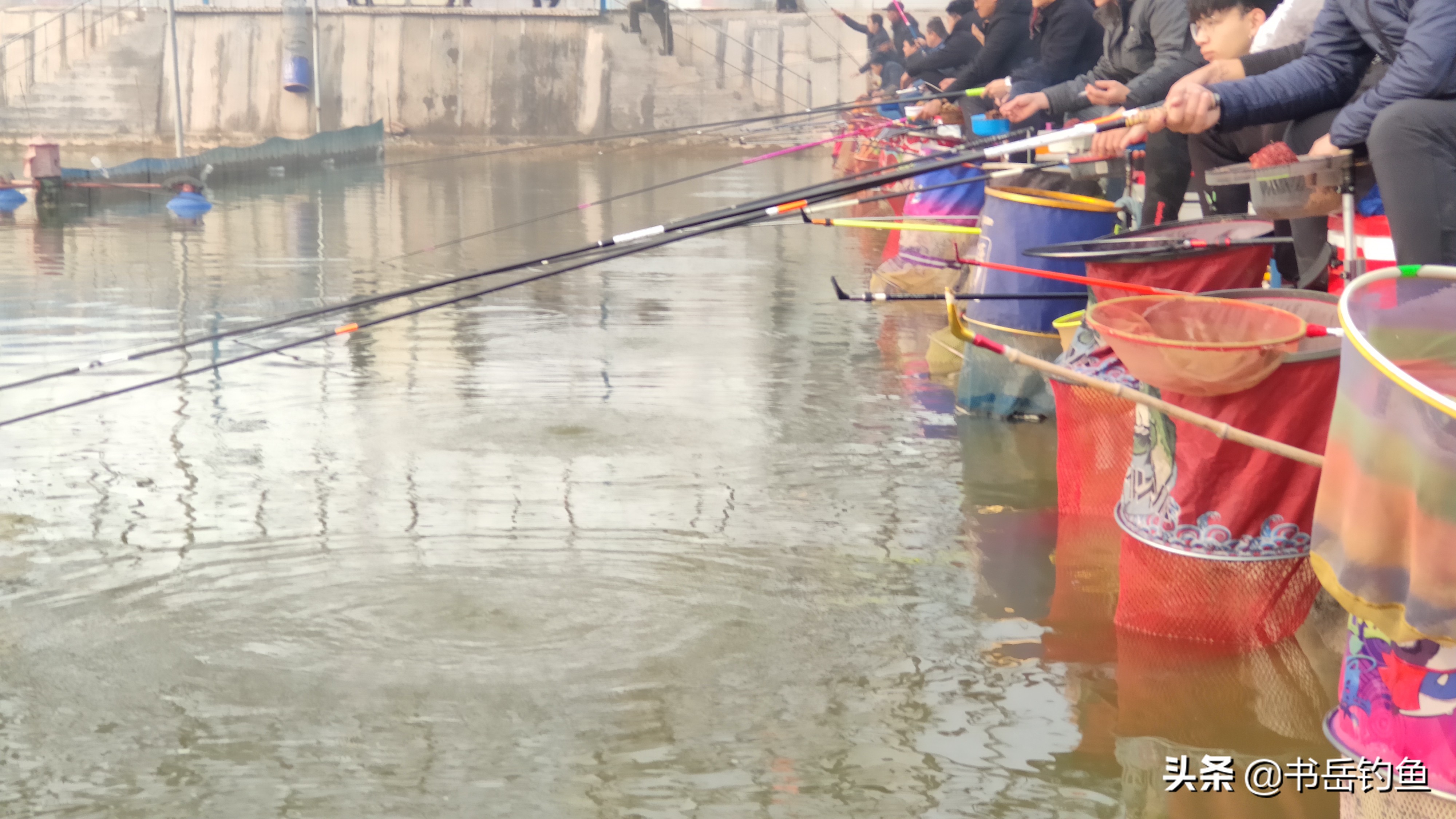 号称国产竞技钓竿黎明的竞技龙，走向落寞黄昏的原因在于产品本身