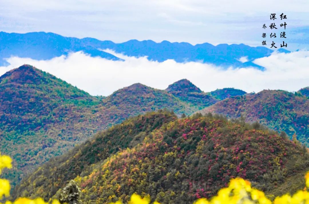 巫山红叶全攻略,巫山红叶2020