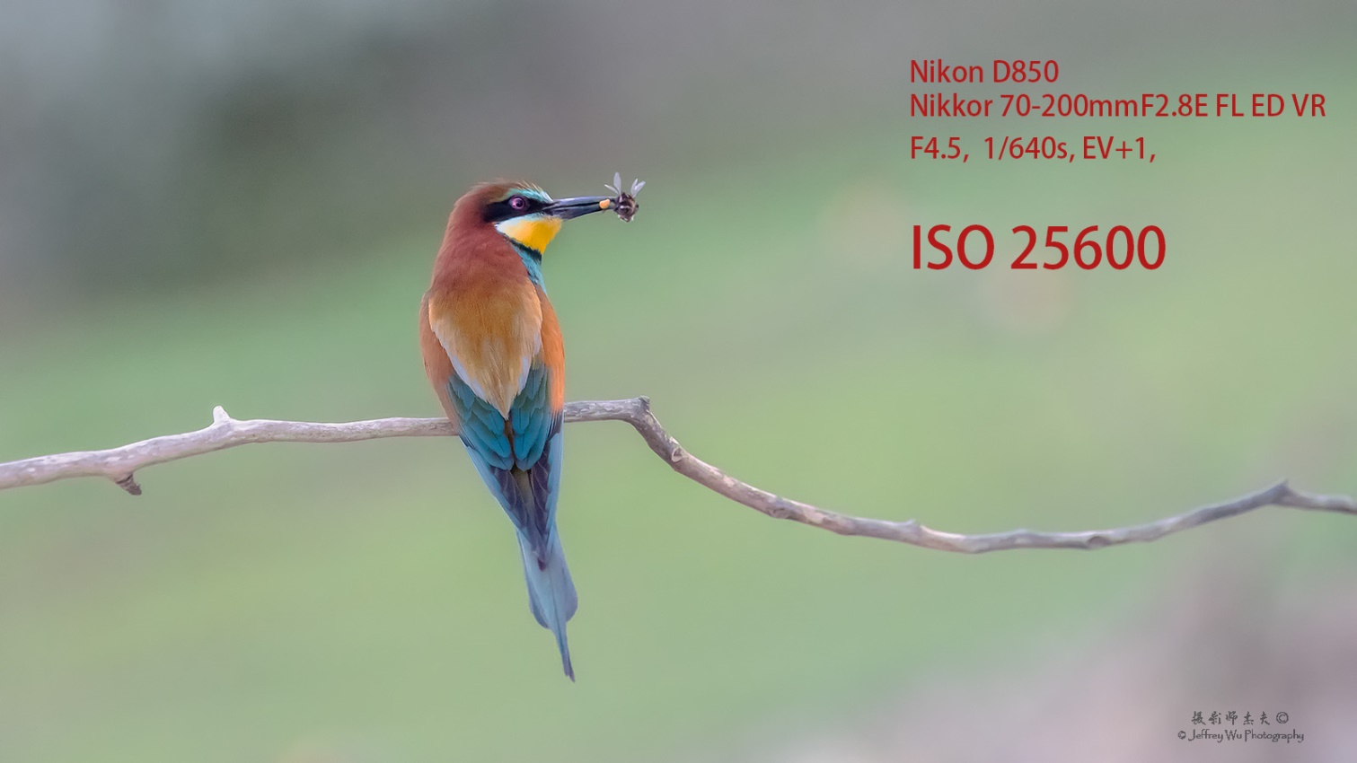 尼康nikond850拍摄视频,摄影器材篇尼康d850