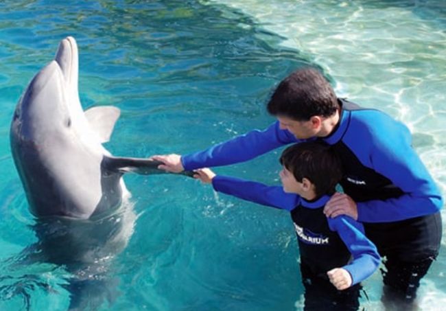 迪拜最新的旅游景点,迪拜必玩的十大景点