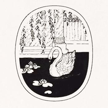 沙龙香水小众男香,这些小众不贵的香水你知道吗