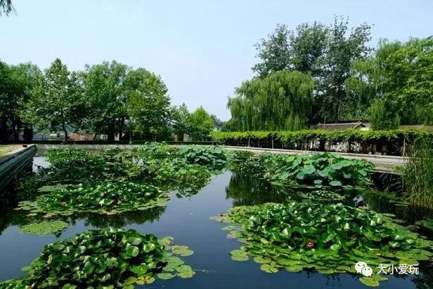 一位妈妈花四年跑断腿，换来了这份“回龙观靠谱教育机构清单”