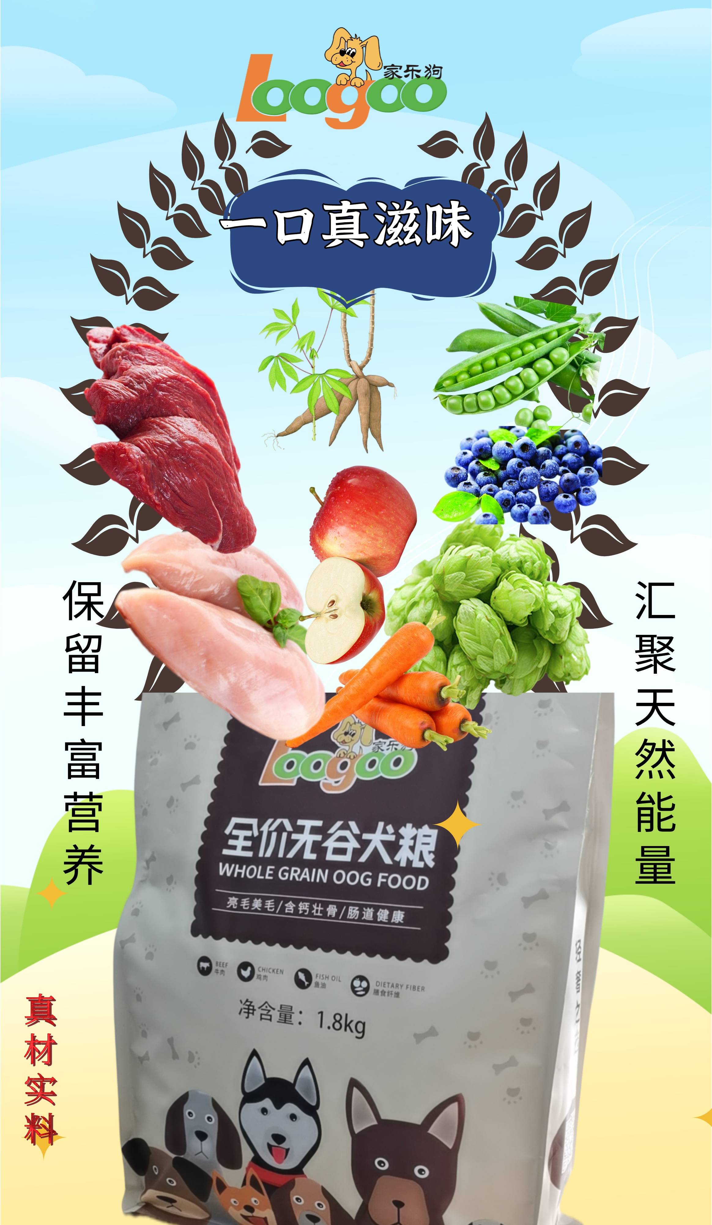 怎么给狗狗选狗粮,选狗粮的正确方法专家推荐