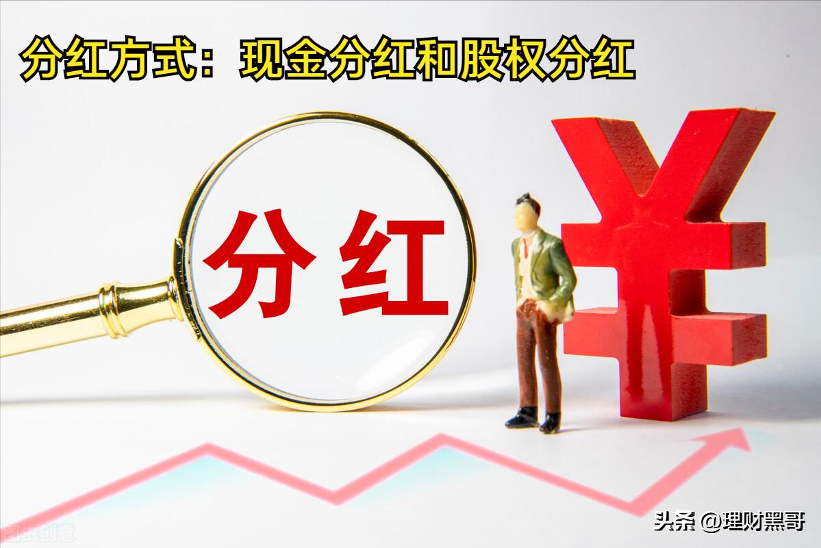 炒股必看股票基础知识,炒股股票的基本知识大全