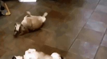 大医生指导夏季宝宝湿疹应对妙法,宝宝预防湿疹护肤品