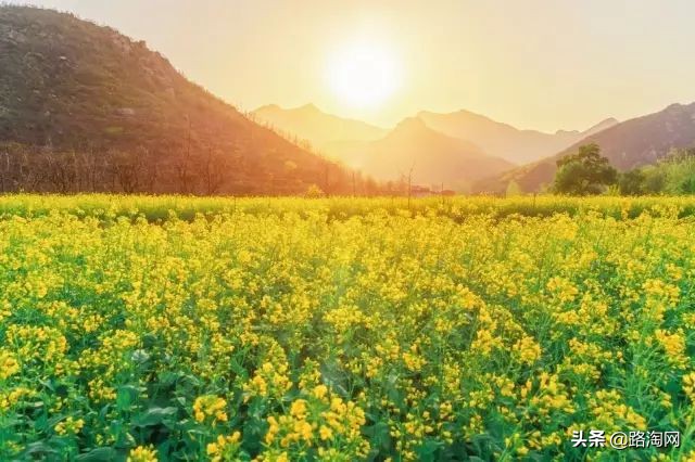 五一小长假结束再看一波各地美景,五一小长假去哪登山踏青看花好