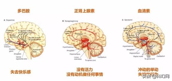 抗抑郁药物能够治疗癌症？