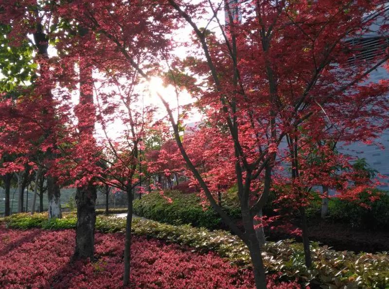 铁路中学选校,选校必备铁路中学