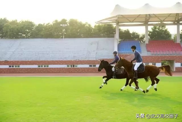 武汉低调神秘的高校,武汉低调的大学