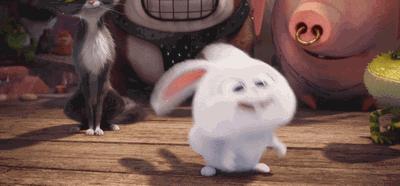 澳大利亚是如何被兔子攻陷的,兔子入侵的国家有哪些