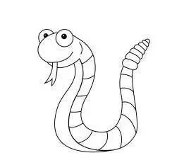 属马的适合戴什么生肖的手串,本命年戴什么生肖手串