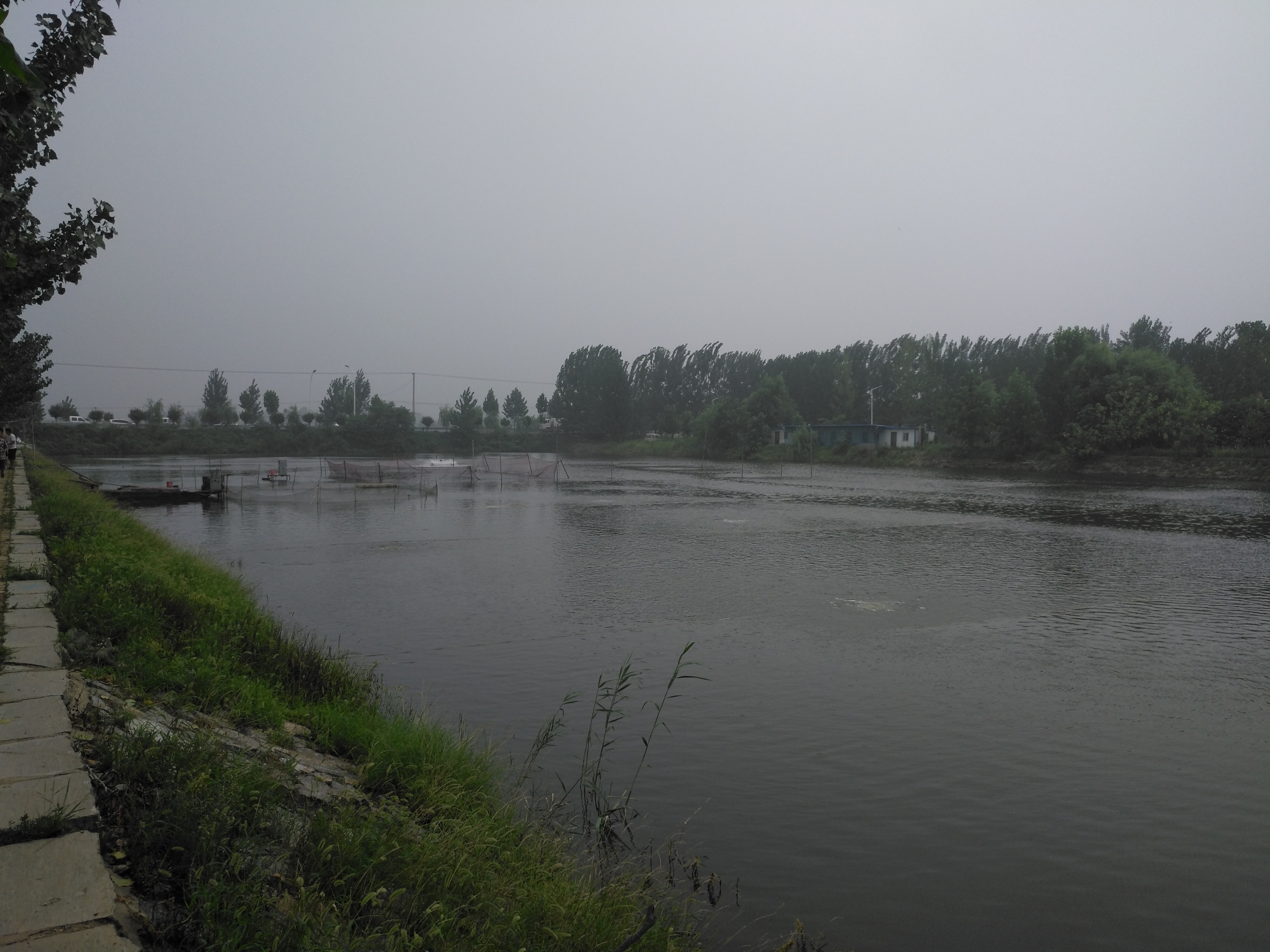 怎么才能把水产养殖做好赚钱,水产养殖什么赚钱方法好