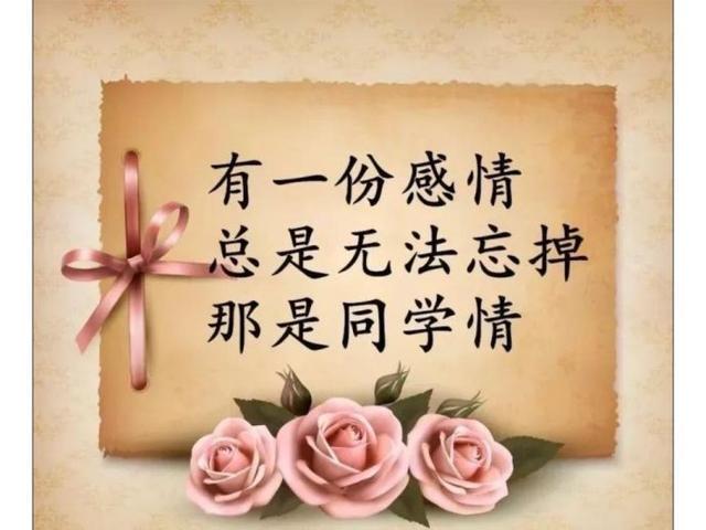 四十年同学聚会个人感言,四十年同学聚会分别时的感言