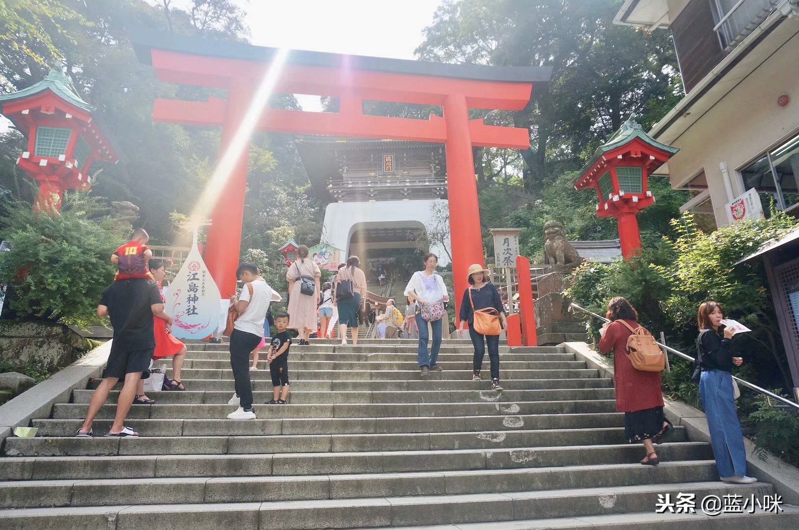 东京富士山镰仓一日游,东京旅游攻略镰仓一日游