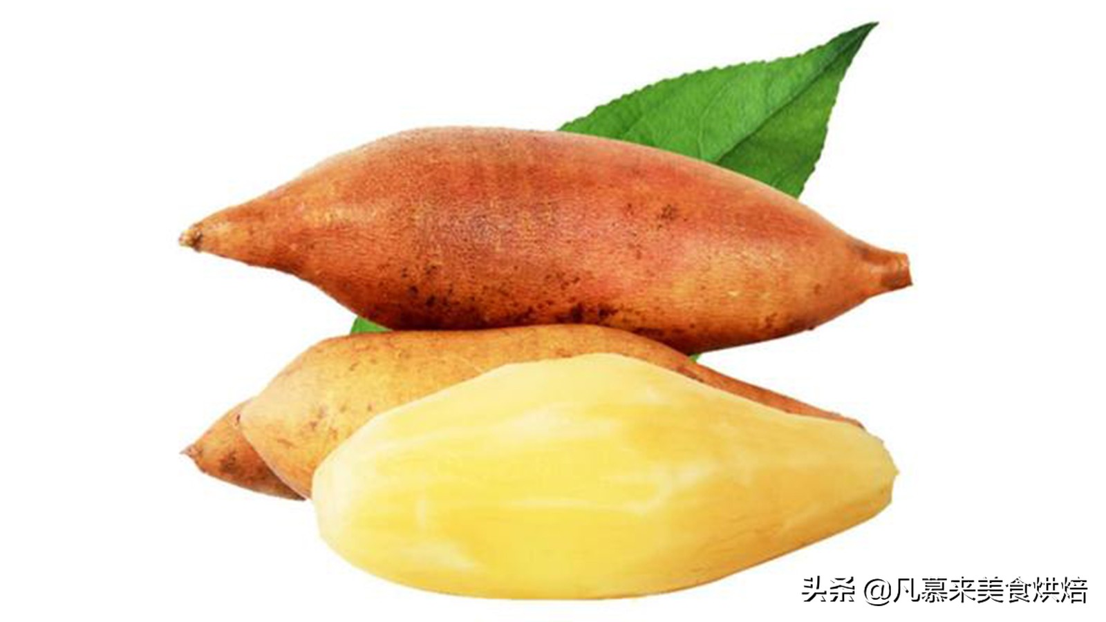 水果百科知识大全水果种类,水果种类大全水果如何分类