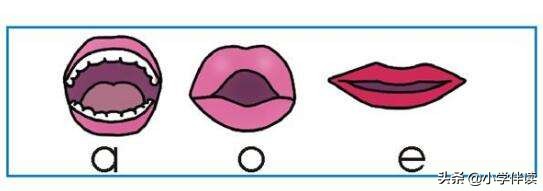 声母韵母表单韵母快速记忆,声母单韵母复韵母整体韵母