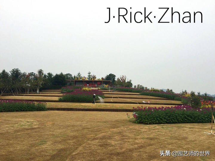 怎么种植草坪不长杂草,如何养好草坪