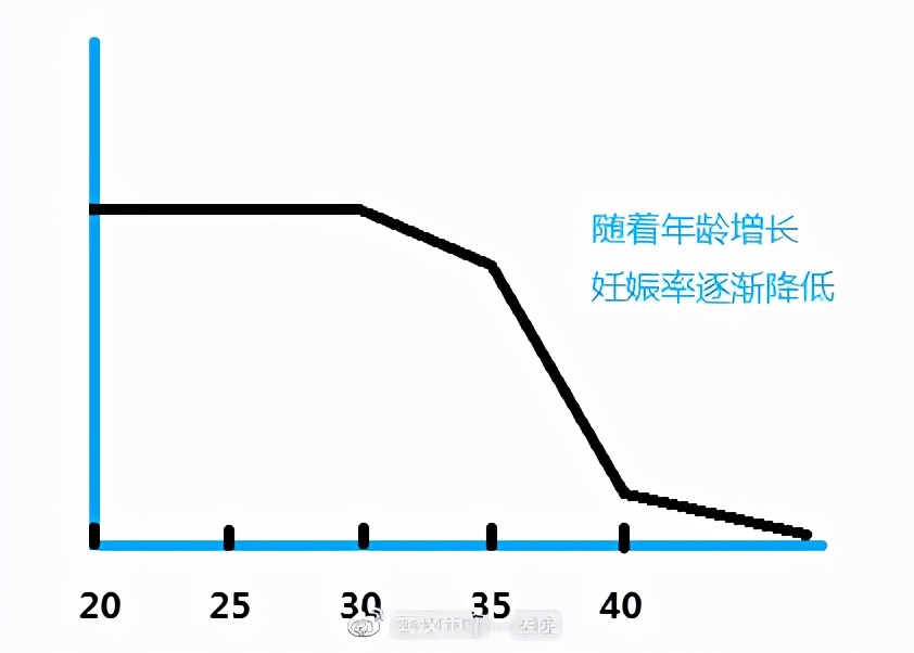 34岁卵巢会走下坡路吗,30岁卵巢会不会早衰