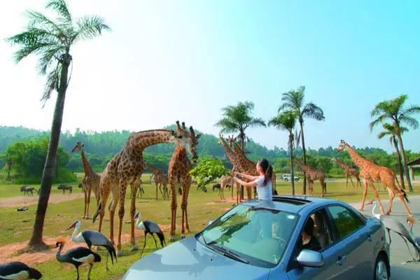 亲子游寒假去哪旅游最好,寒假孩子去哪旅游最好