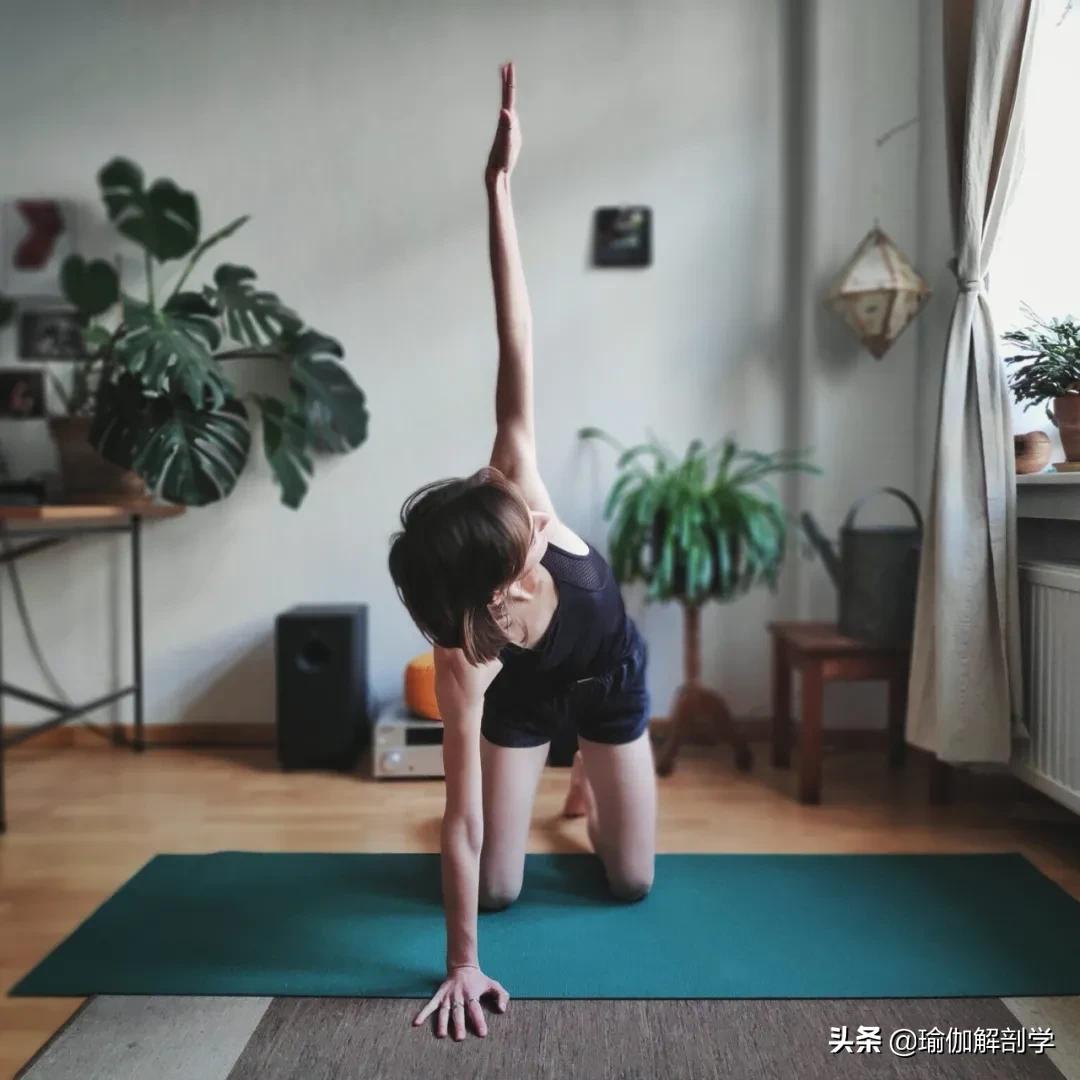 一套适合晨练的瑜伽序列越练越美,初学者简单瑜伽每天必练8个动作