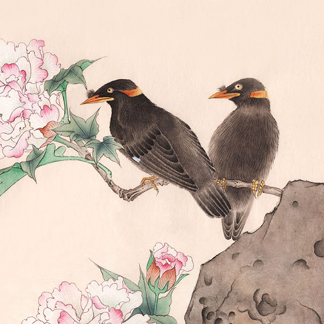 水仙花国画花鸟画图片欣赏,中国画花鸟画背景图片大全