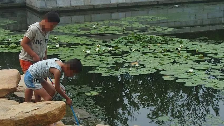 广西梧州95年的身份证开头,广西2001年的居民身份证