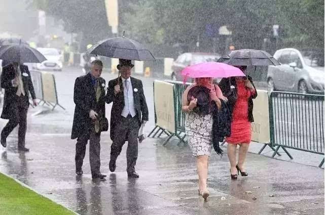 英国最好的雨伞品牌,有哪些世界著名雨伞品牌