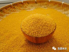 南阳小米黄酒,小米黄酒的制作方法