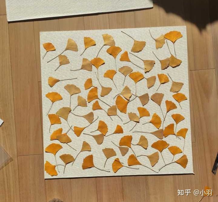 喜欢宅在家的人怎么过,喜欢宅的人该怎么办