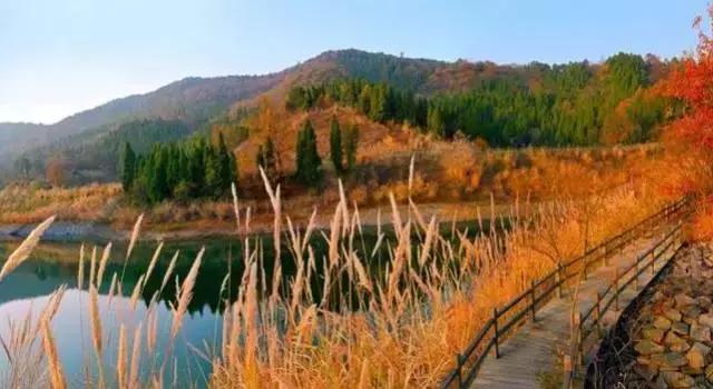 邂逅秋天的千岛湖！光看图已美醉，住这7家美宿避开人群赏湖景山色