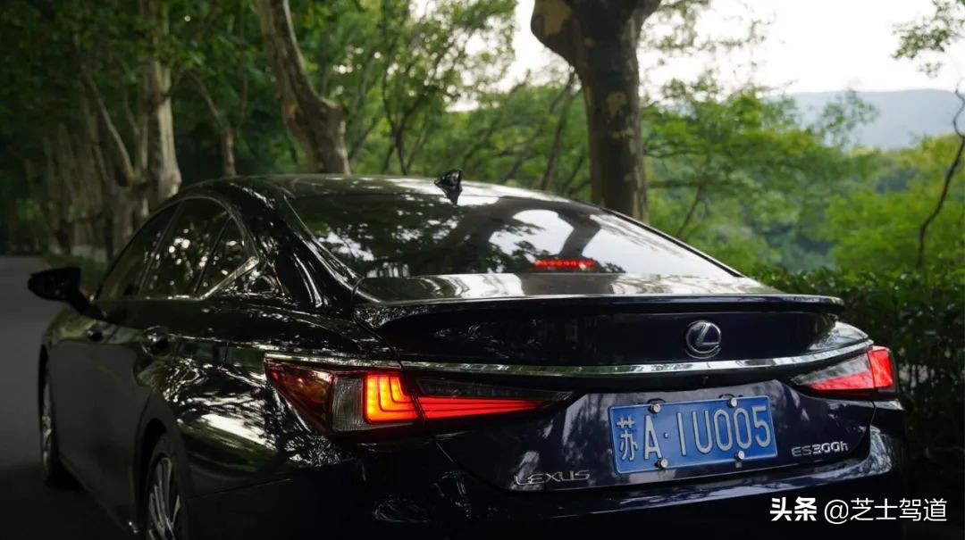 雷克萨斯追玛莎,雷克萨斯追爱